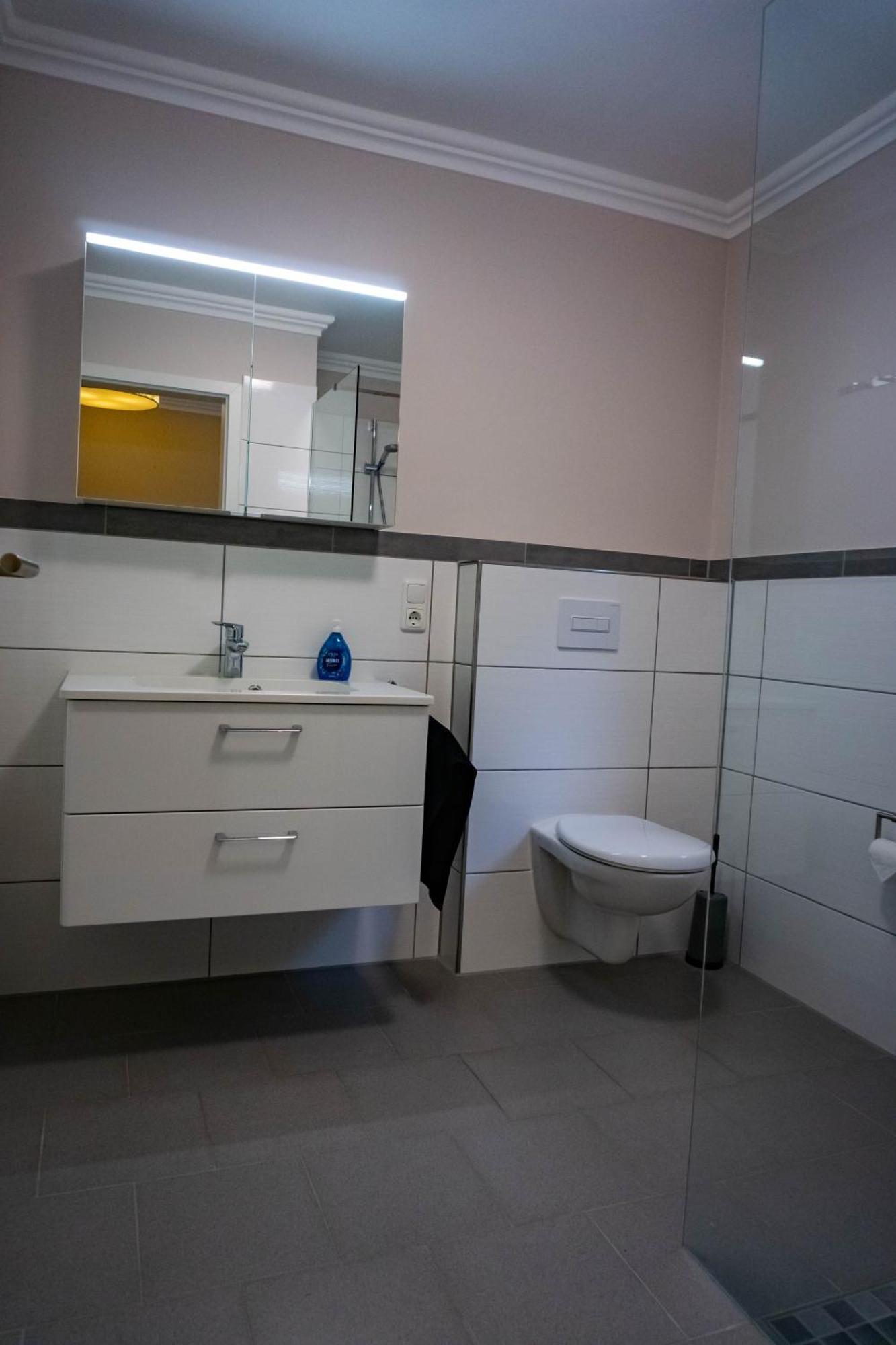 Haus Strandlust- Gemuetliches Studio Direkt Am Duemmer Apartment Lembruch Ngoại thất bức ảnh
