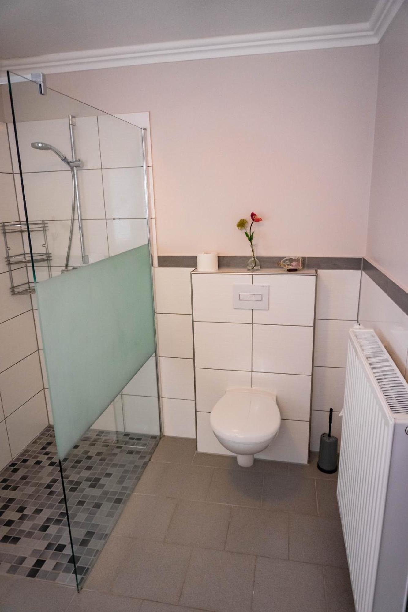 Haus Strandlust- Gemuetliches Studio Direkt Am Duemmer Apartment Lembruch Ngoại thất bức ảnh